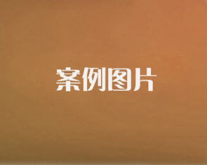 案例详情